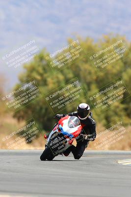 media/May-15-2022-SoCal Trackdays (Sun) [[33a09aef31]]/Turn 7 (1145am)/